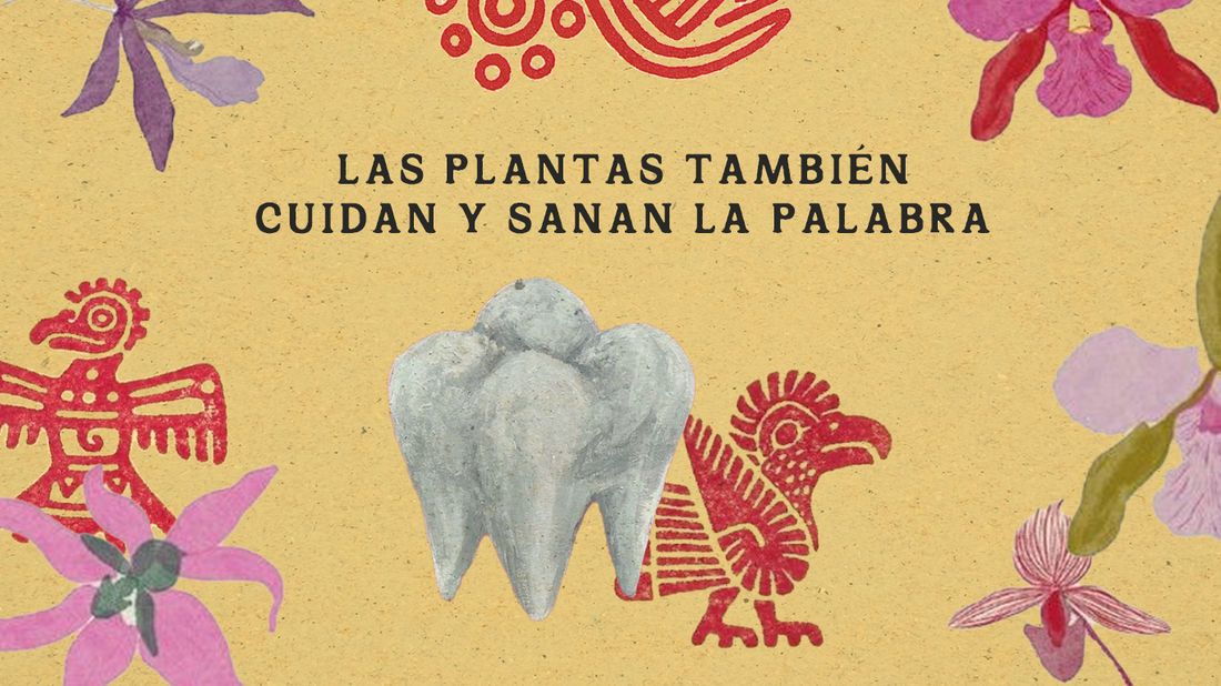 Las plantas también cuidan y sanan la palabra