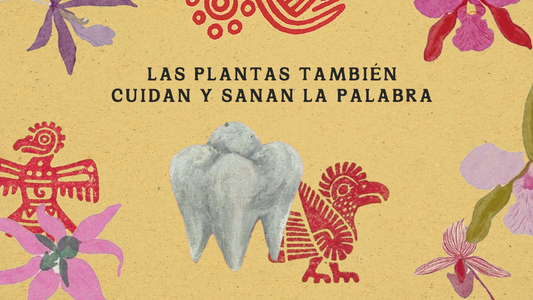 Las plantas también cuidan y sanan la palabra
